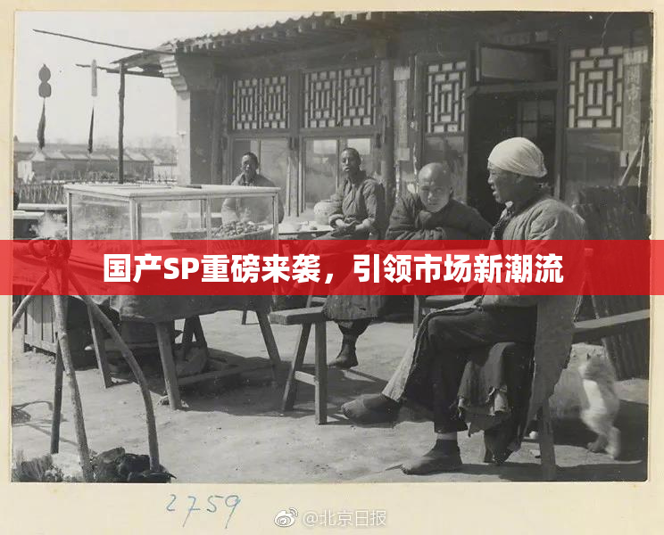 国产SP重磅来袭，引领市场新潮流
