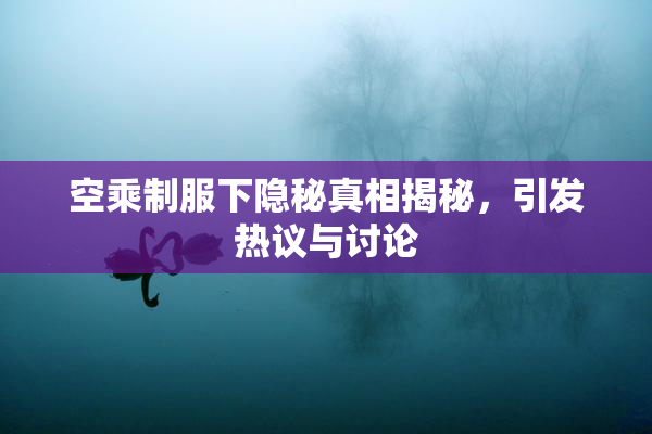 空乘制服下隐秘真相揭秘，引发热议与讨论