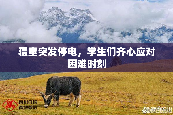 寝室突发停电，学生们齐心应对困难时刻