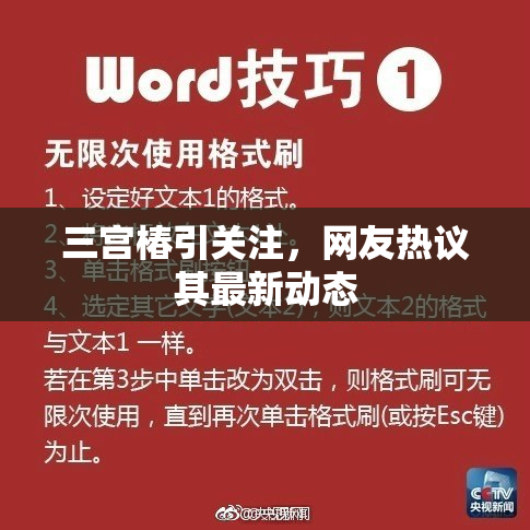 三宫椿引关注，网友热议其最新动态