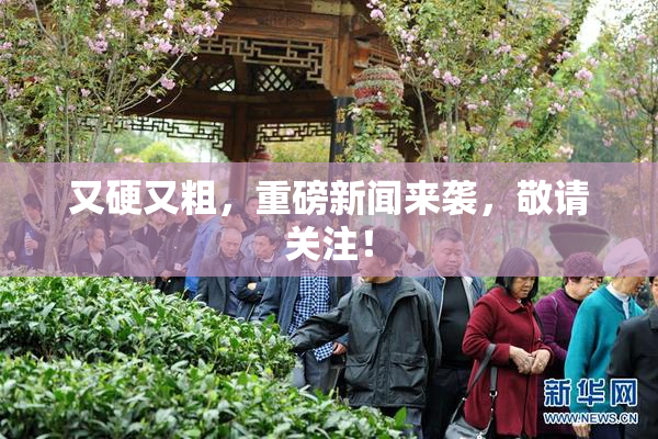 又硬又粗，重磅新闻来袭，敬请关注！