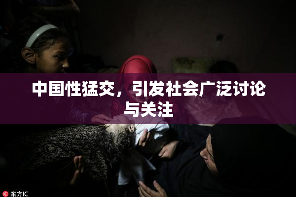 中国性猛交，引发社会广泛讨论与关注
