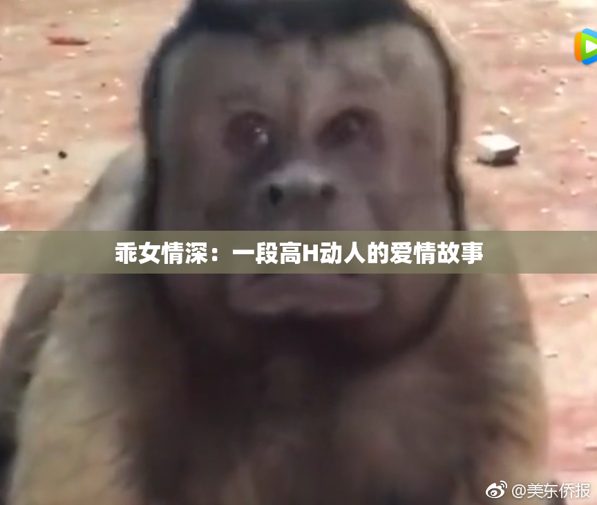 乖女情深：一段高H动人的爱情故事