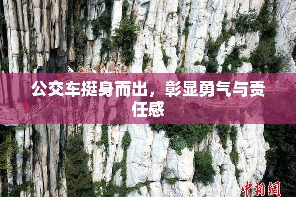 公交车挺身而出，彰显勇气与责任感