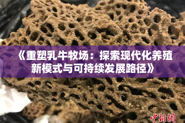 《重塑乳牛牧场：探索现代化养殖新模式与可持续发展路径》
