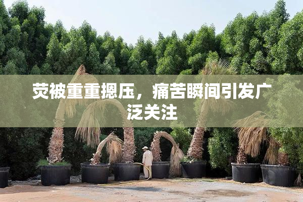 荧被重重摁压，痛苦瞬间引发广泛关注