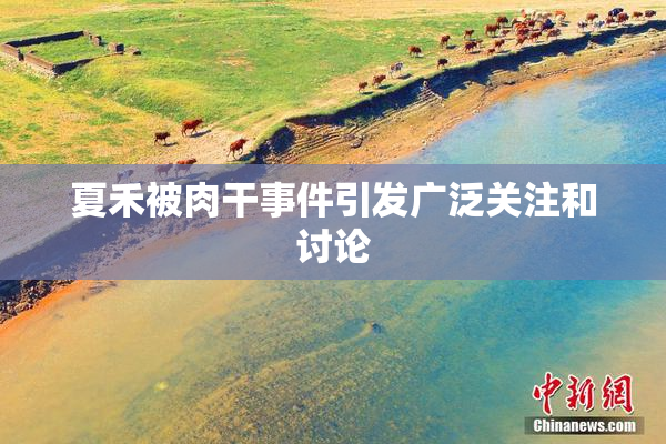 夏禾被肉干事件引发广泛关注和讨论