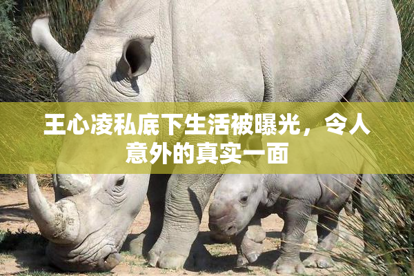 王心凌私底下生活被曝光，令人意外的真实一面