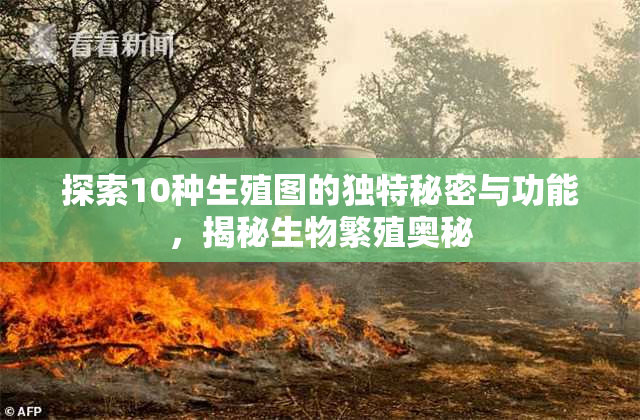探索10种生殖图的独特秘密与功能，揭秘生物繁殖奥秘