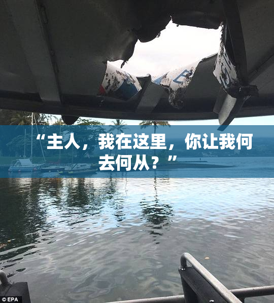 “主人，我在这里，你让我何去何从？”