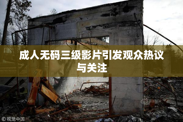 成人无码三级影片引发观众热议与关注