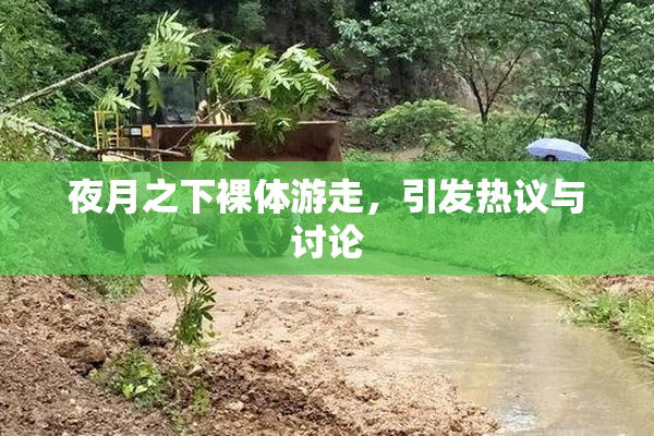 夜月之下裸体游走，引发热议与讨论