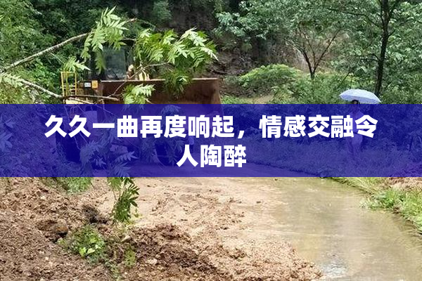 久久一曲再度响起，情感交融令人陶醉