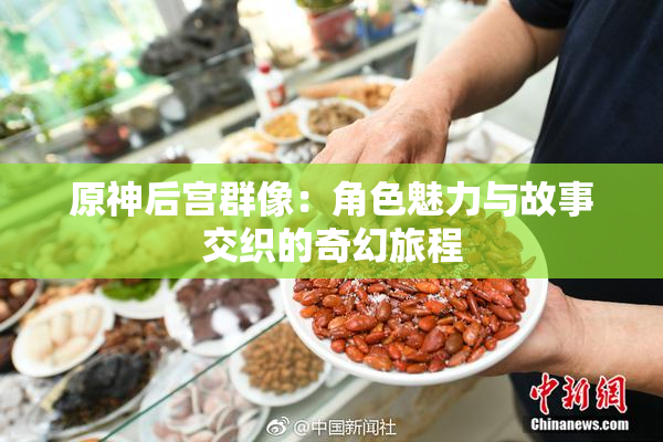 原神后宫群像：角色魅力与故事交织的奇幻旅程