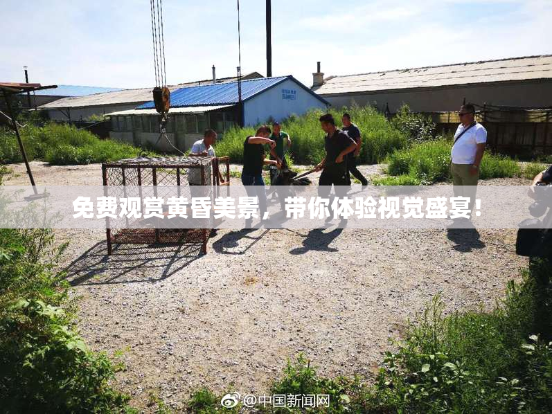 免费观赏黄昏美景，带你体验视觉盛宴！
