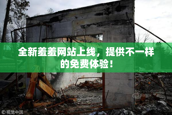 全新羞羞网站上线，提供不一样的免费体验！