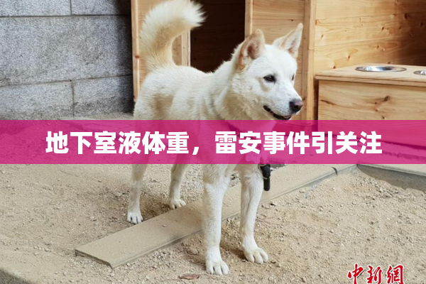 地下室液体重，雷安事件引关注