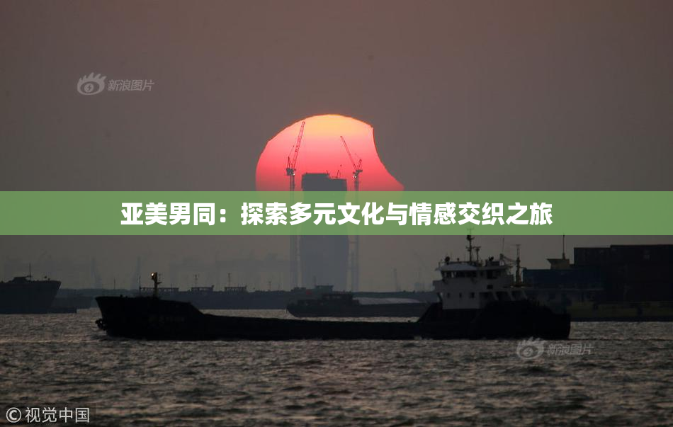 亚美男同：探索多元文化与情感交织之旅