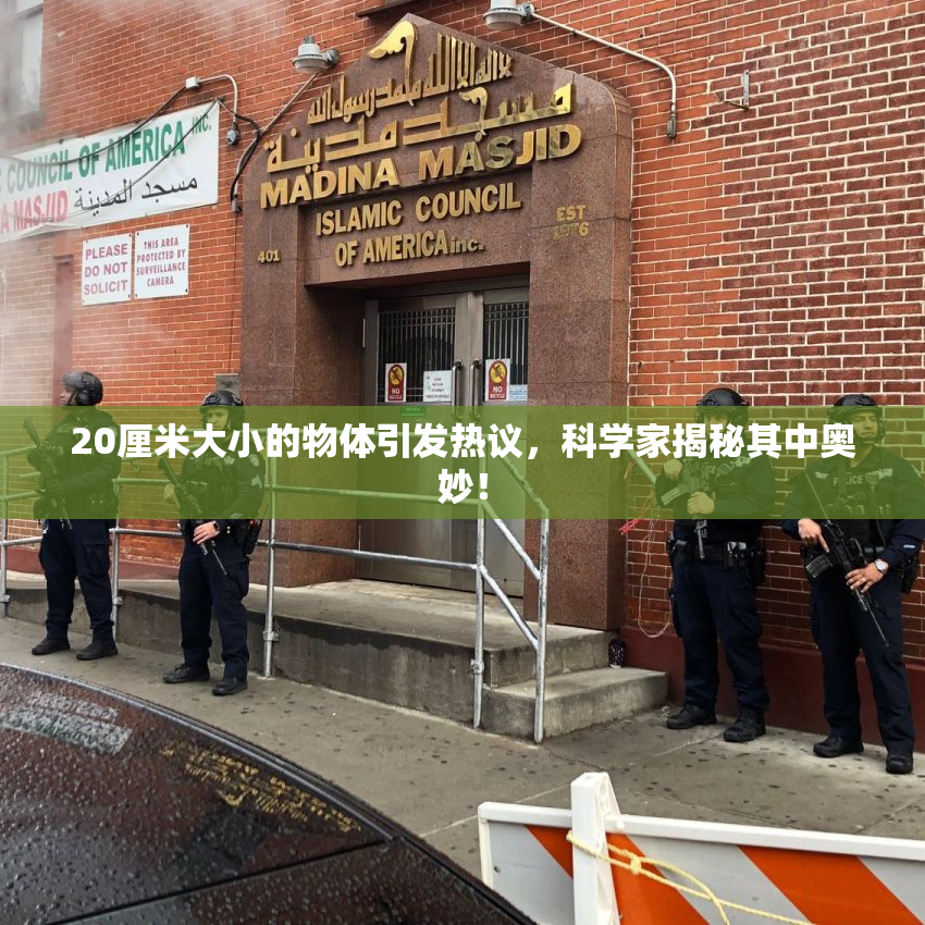 20厘米大小的物体引发热议，科学家揭秘其中奥妙！
