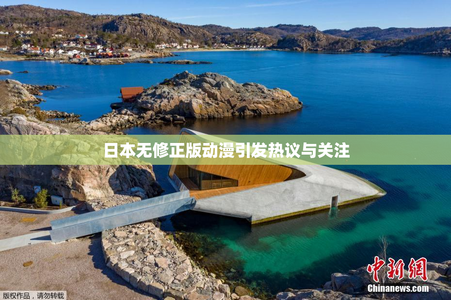 日本无修正版动漫引发热议与关注