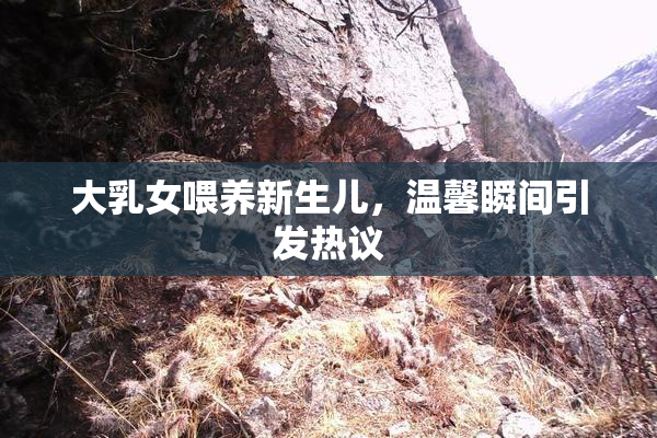 大乳女喂养新生儿，温馨瞬间引发热议