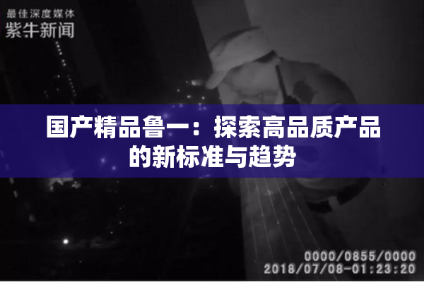 国产精品鲁一：探索高品质产品的新标准与趋势