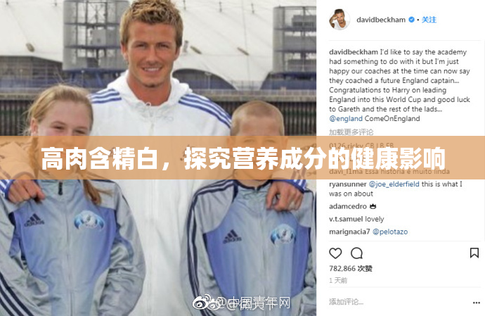 高肉含精白，探究营养成分的健康影响