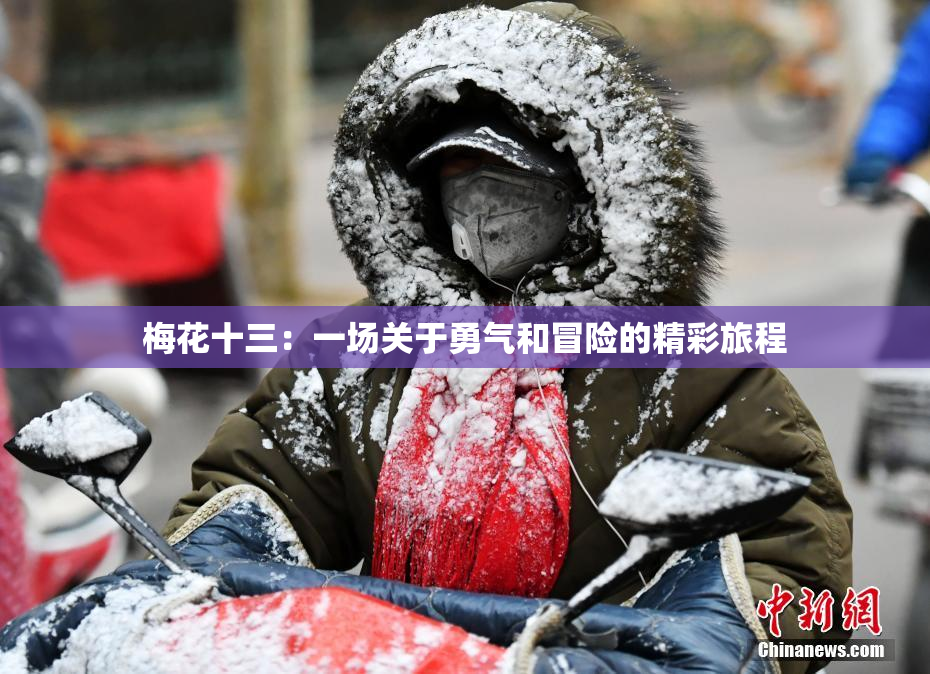 梅花十三：一场关于勇气和冒险的精彩旅程