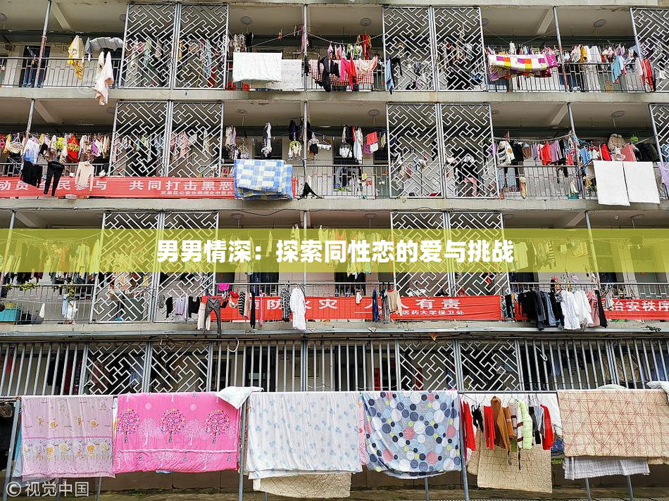 男男情深：探索同性恋的爱与挑战