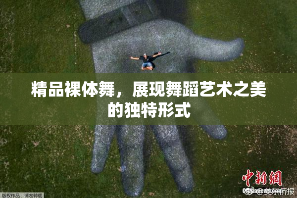 精品裸体舞，展现舞蹈艺术之美的独特形式
