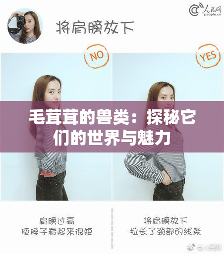 毛茸茸的兽类：探秘它们的世界与魅力