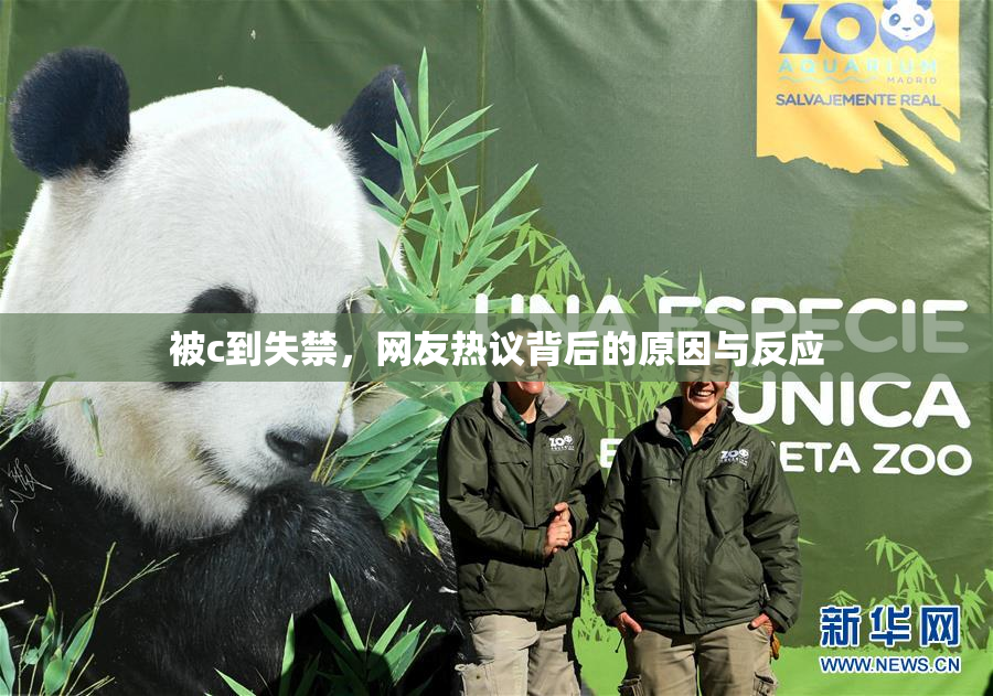 被c到失禁，网友热议背后的原因与反应