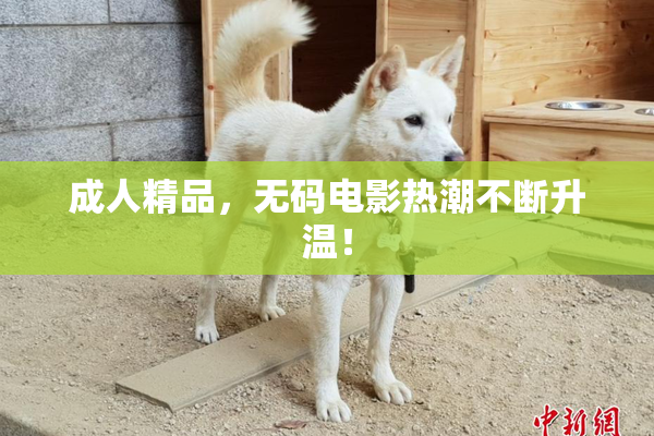成人精品，无码电影热潮不断升温！