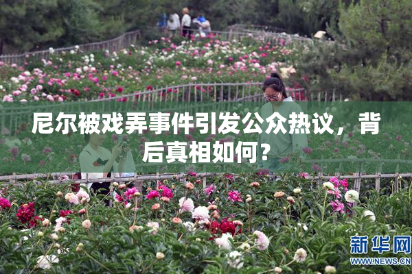 尼尔被戏弄事件引发公众热议，背后真相如何？