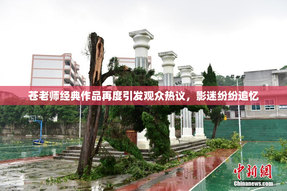 苍老师经典作品再度引发观众热议，影迷纷纷追忆
