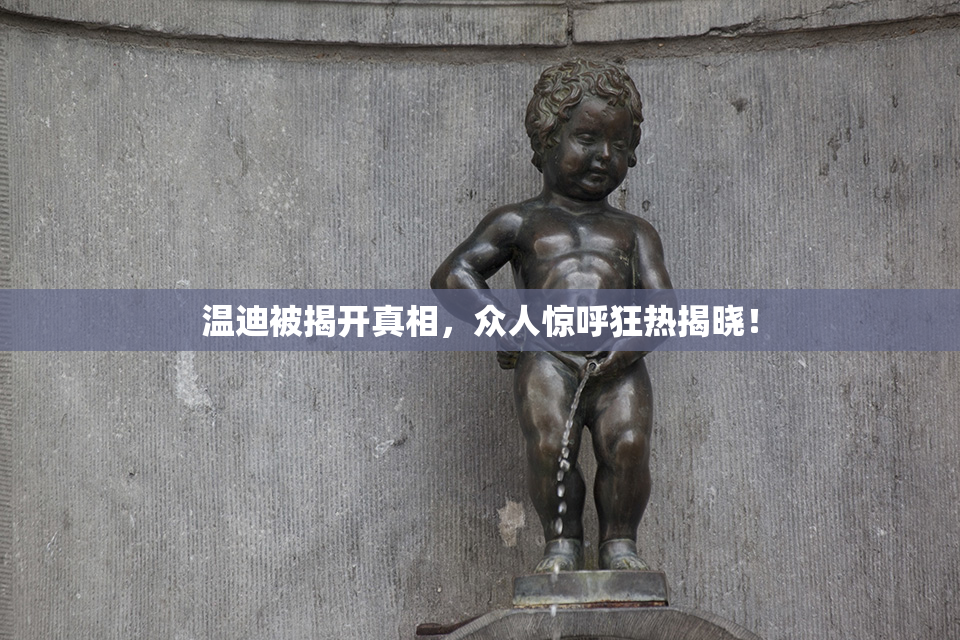 温迪被揭开真相，众人惊呼狂热揭晓！