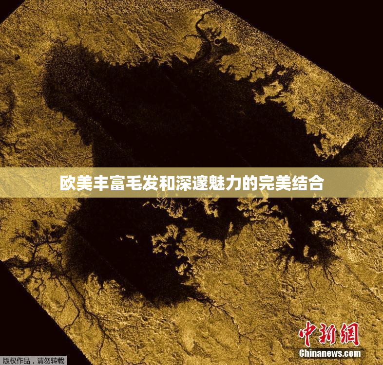 欧美丰富毛发和深邃魅力的完美结合