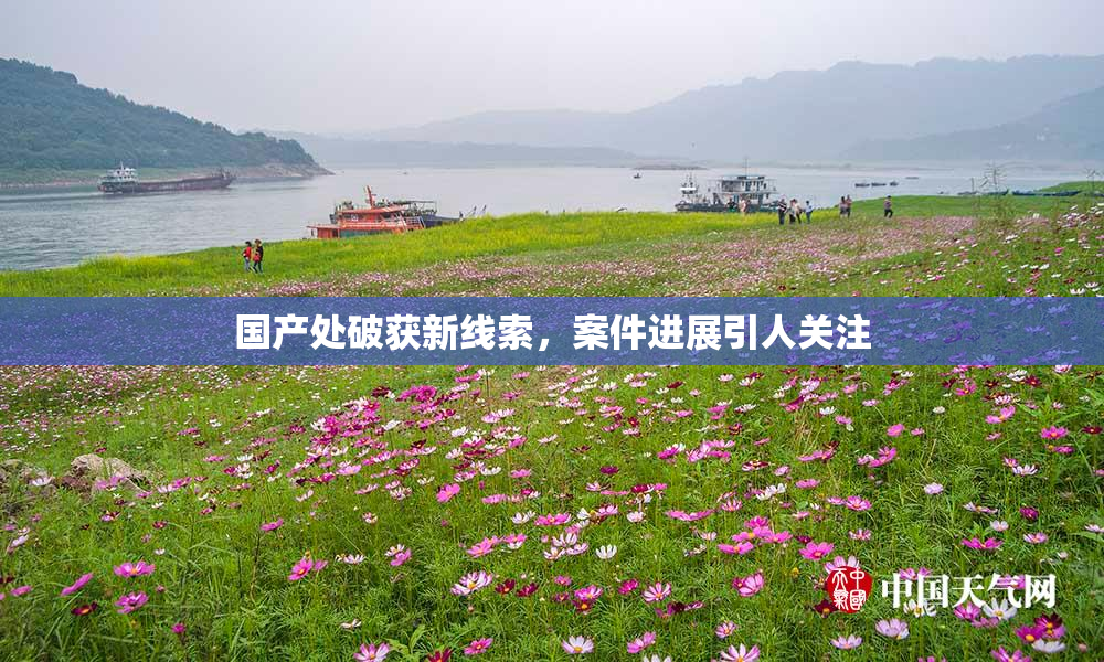 国产处破获新线索，案件进展引人关注