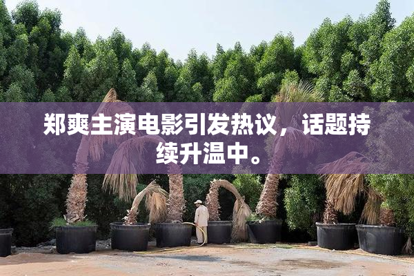 郑爽主演电影引发热议，话题持续升温中。