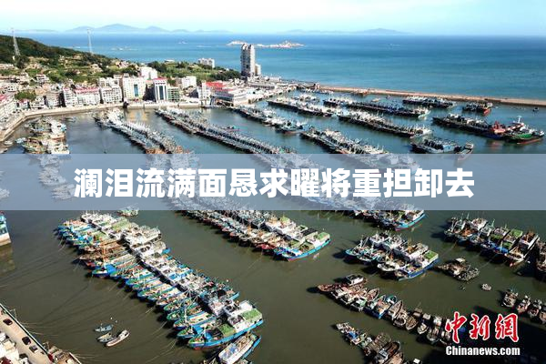 澜泪流满面恳求曜将重担卸去