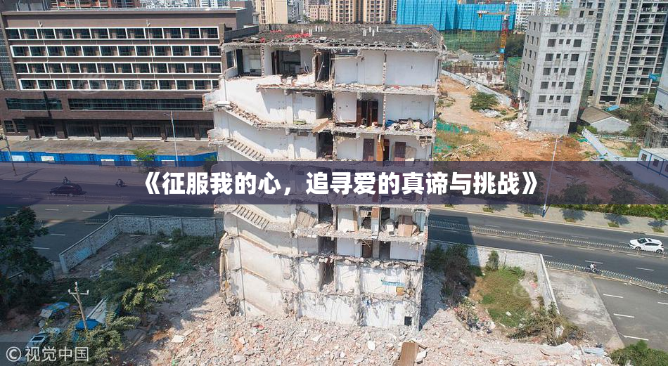 《征服我的心，追寻爱的真谛与挑战》