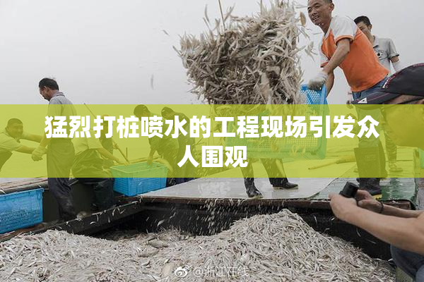 猛烈打桩喷水的工程现场引发众人围观
