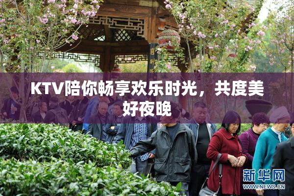 KTV陪你畅享欢乐时光，共度美好夜晚