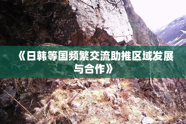 《日韩等国频繁交流助推区域发展与合作》