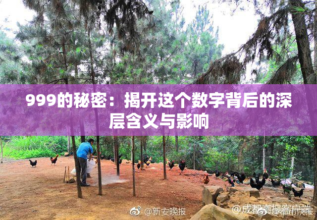 999的秘密：揭开这个数字背后的深层含义与影响