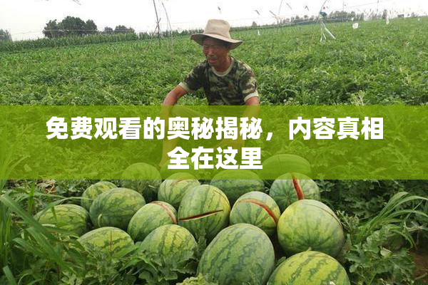免费观看的奥秘揭秘，内容真相全在这里