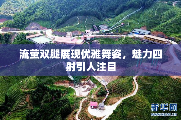 流萤双腿展现优雅舞姿，魅力四射引人注目