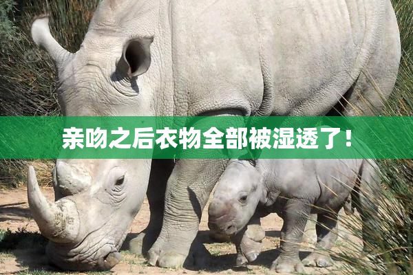 亲吻之后衣物全部被湿透了！