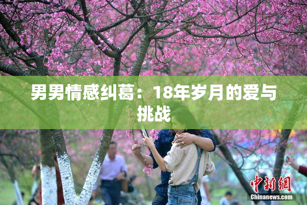 男男情感纠葛：18年岁月的爱与挑战