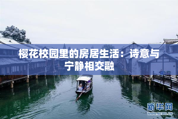 樱花校园里的房居生活：诗意与宁静相交融